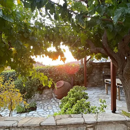 Fotini's House